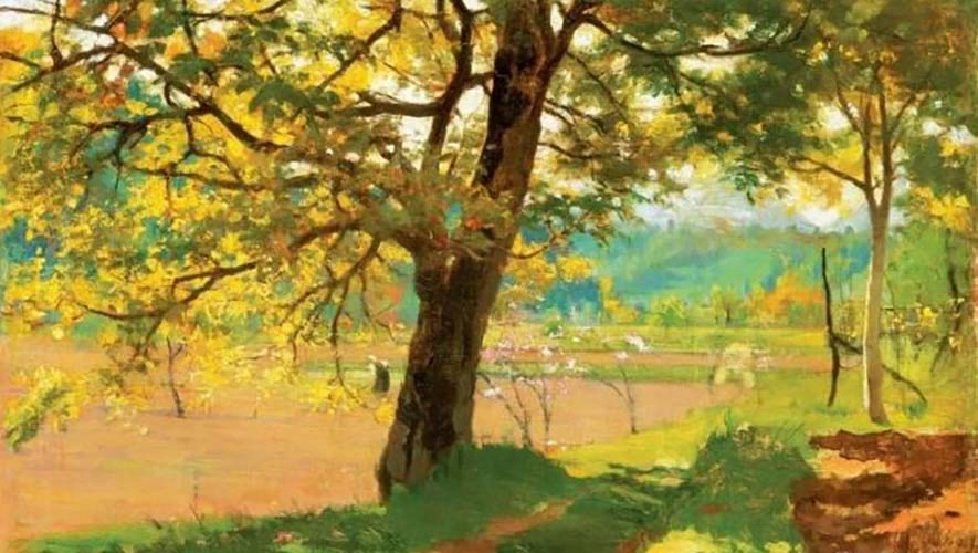 Albero